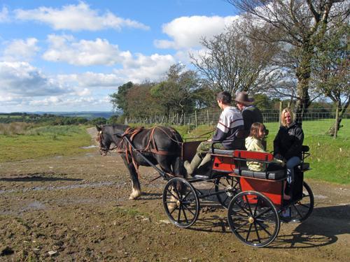 Cart Rides near the cottage