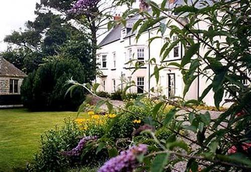 The house