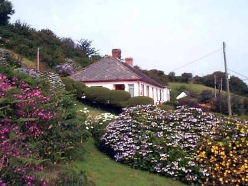 The cottage