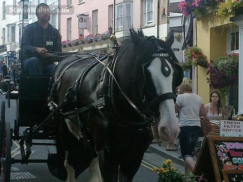 Horse and Carriage Ride Tenby