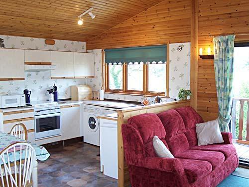 Kitchen and living area