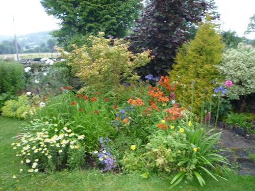 Welcome to use our lovely garden