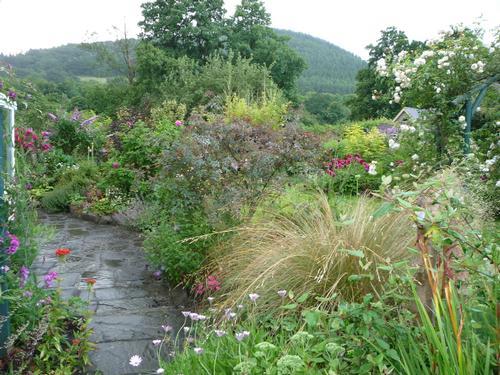 A view of the garden
