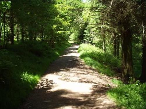 Excellent walks from the cottage
