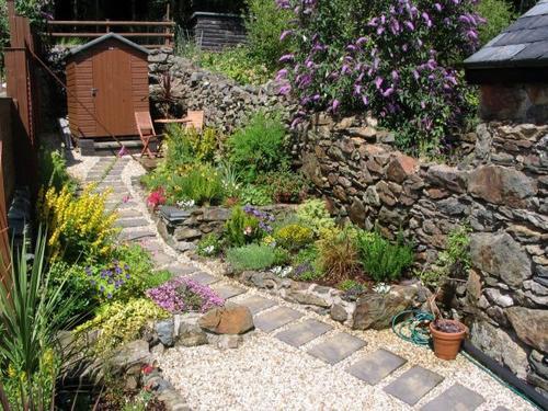 The back garden