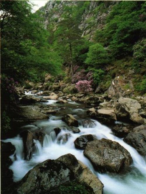 Aberglaslyn, near Beddgelert