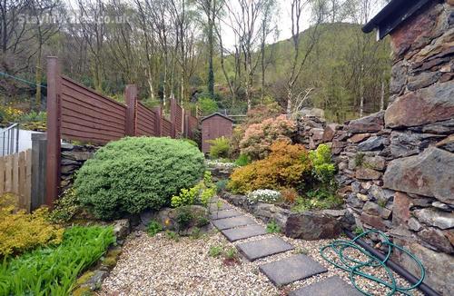 The garden