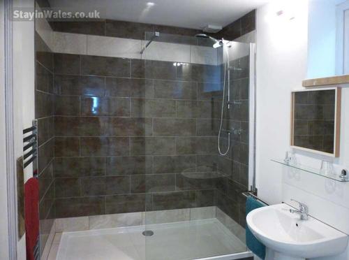 Ground floor en-suite shower room