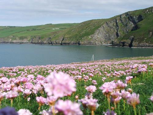 Miles of coastal paths on your doorstep