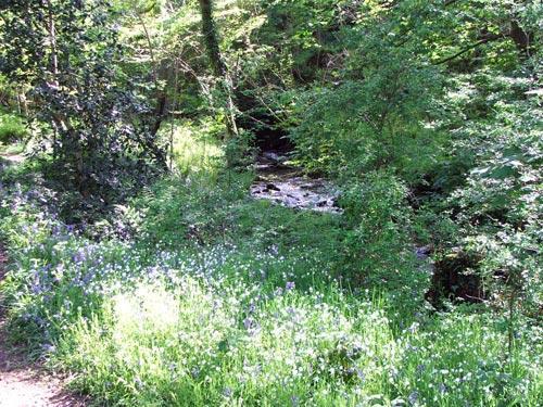 Abandon the car and take the woodland path to Seal Bay.