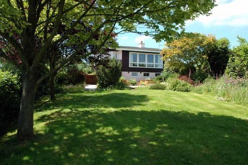 The garden