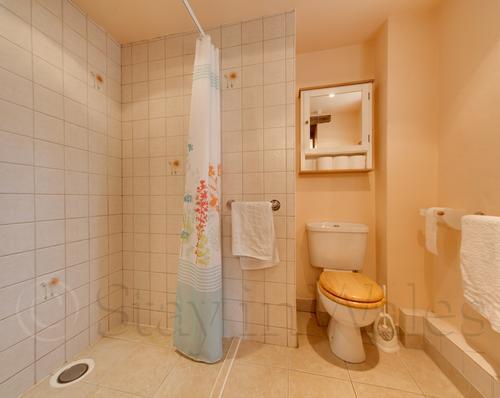 The shower room
