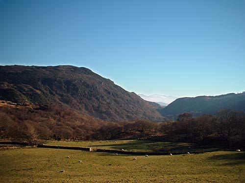 Amazing view from cottage window