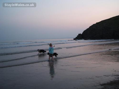 Walking the dogs on Black Rock beach - 9 miles from Rhos Cottages