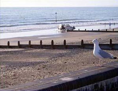 Twywyn's sandy beach