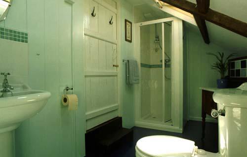 Luxurious shower room with power shower