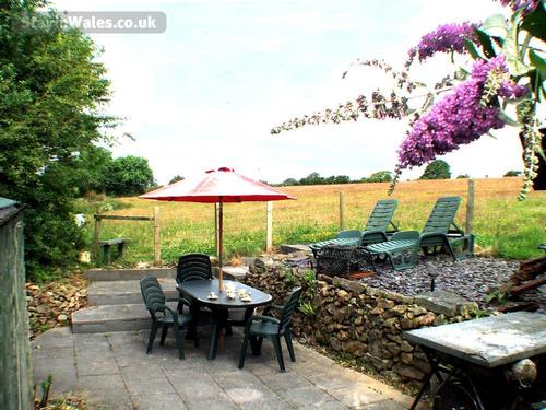 Private Sun-filled patio and 7 Acre Meadow