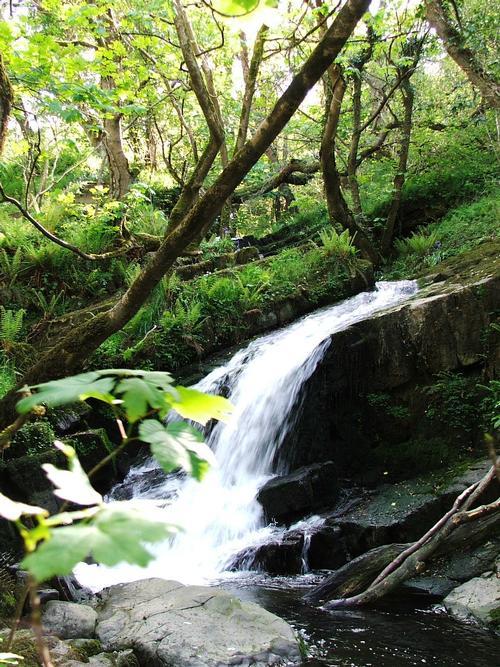 Follow the stream to the waterfall and beach