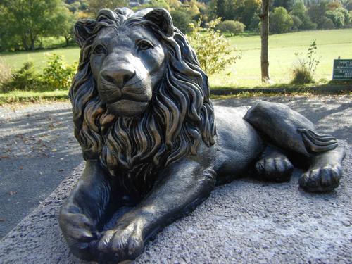 Our lion Llewelyn the Prince of Wales