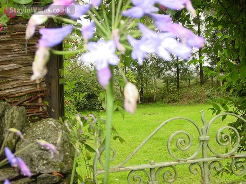 pretty garden gate in summer