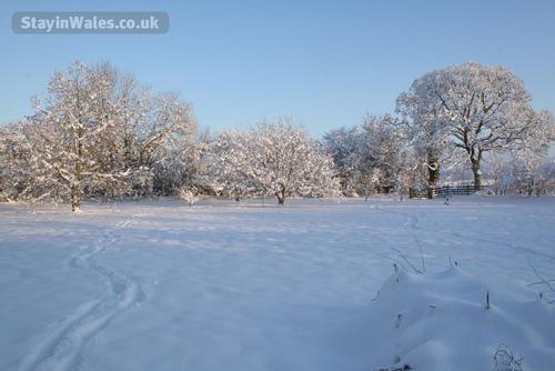 Beudy garden in winter