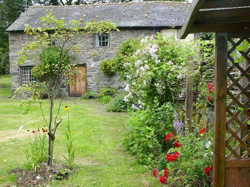 The cottage and garden in Summer