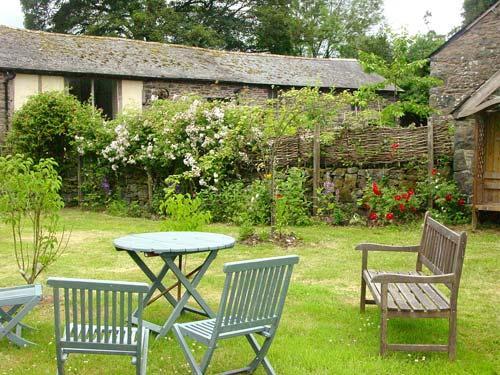 The garden
