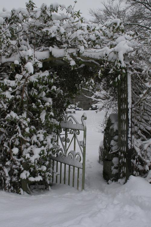 pretty garden gate in the snow