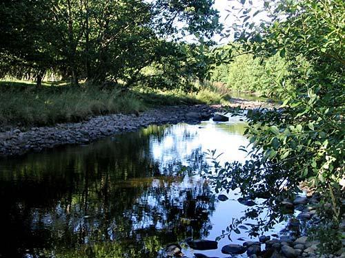 River Banwy running below the cottage, by the river meadow