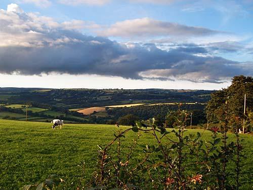 The view from Penffynnon across the Teifi Valley.
