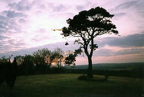 View from Penffynnon