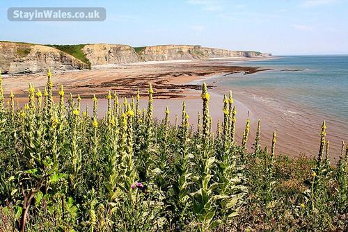 This stunning coastline is the award winning Heritage Coast, which is just a short few minute stroll