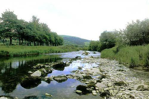 The River Wye