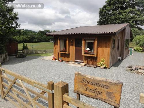 Sycamore Lodge