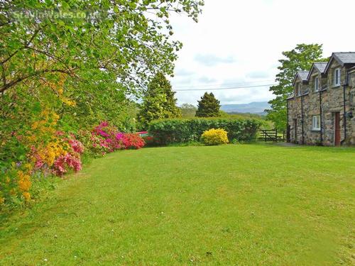 The cottage and garden