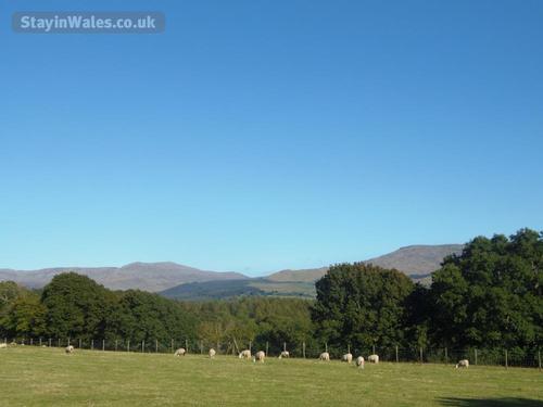 The view from the garden.