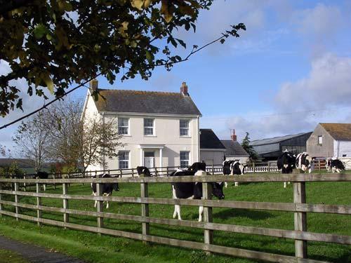 Glascoed offers farmhouse B&B near the Carmarthenshire - Pembrokeshire border