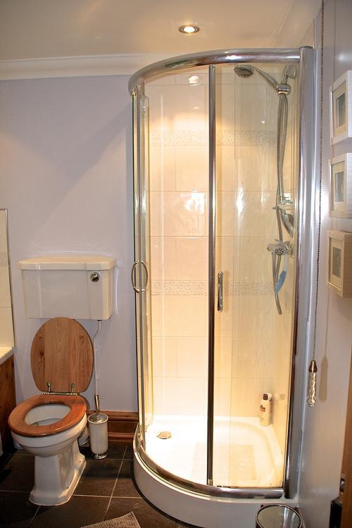 Maes y ffynnon shower room