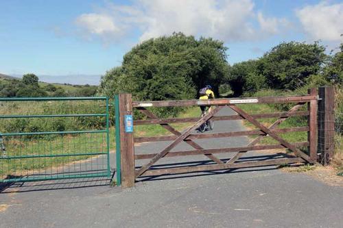 Explore the area by bike