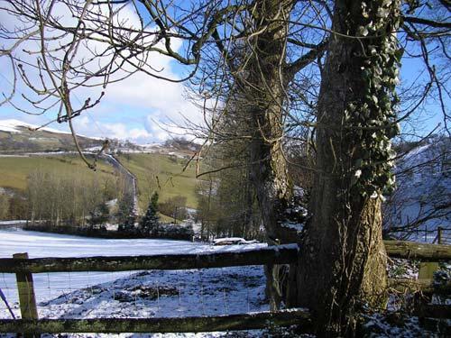 View from Fedw Farm
