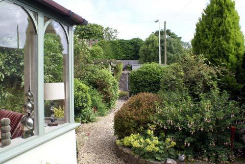 The garden