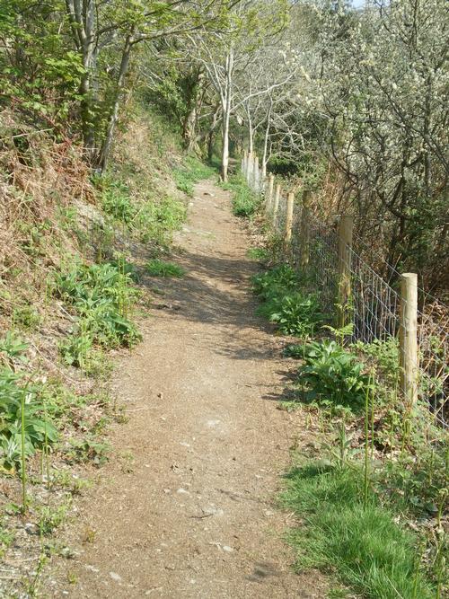 Coastal Path Walk