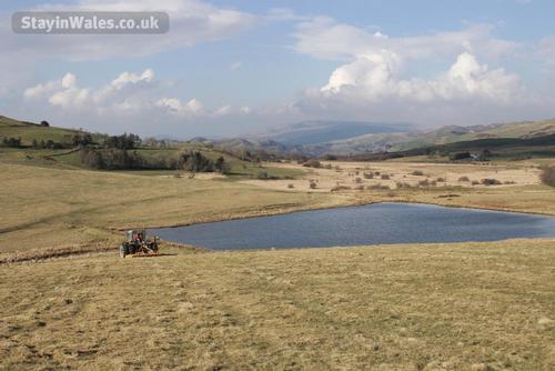 Wide open spaces on the farm