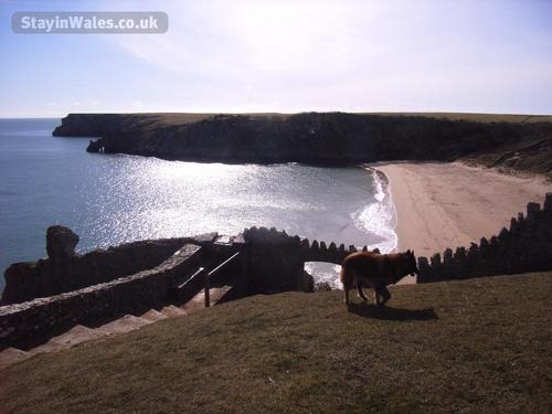 Barafundle Bay