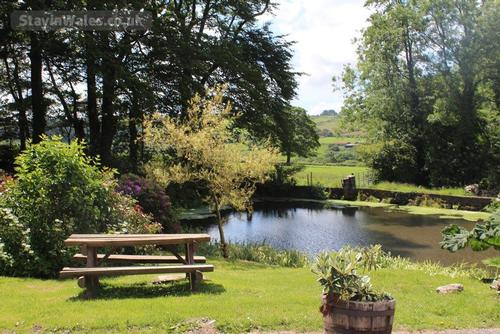 The duck pond