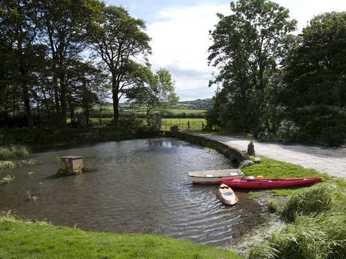 The duck pond