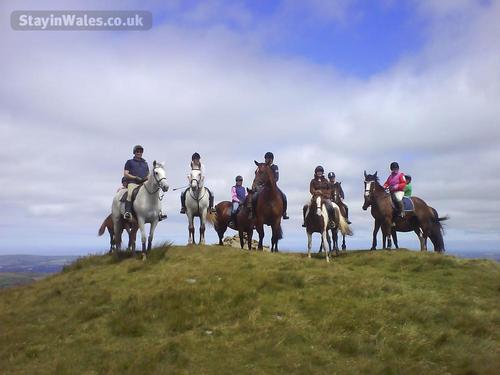 Preseli Mountains