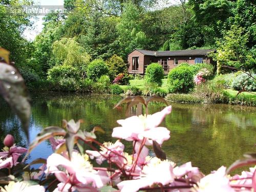 Cosy Log Cabin Overlooking the Large Fish Pond