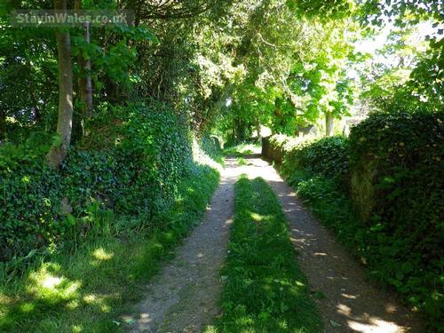 Country lane