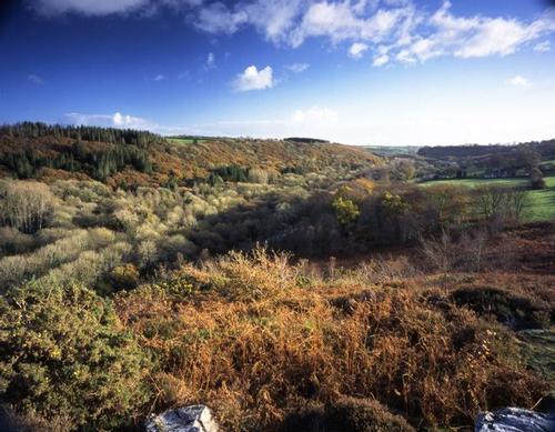 Treffgarne Gorge near the hotel